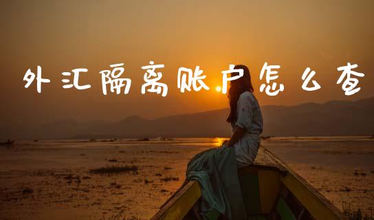 外汇隔离账户怎么查_https://m.jnlaobingbanjia.com_全球市场_第1张