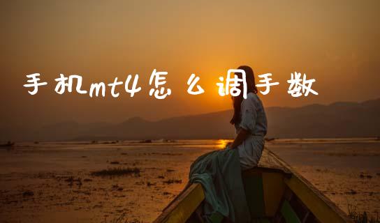手机mt4怎么调手数_https://m.jnlaobingbanjia.com_全球市场_第1张
