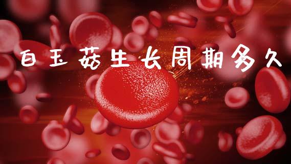 白玉菇生长周期多久_https://m.jnlaobingbanjia.com_全球市场_第1张