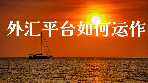 外汇平台如何运作_https://m.jnlaobingbanjia.com_基金市场_第1张