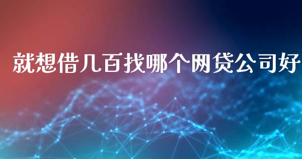 就想借几百找哪个网贷公司好_https://m.jnlaobingbanjia.com_金融监管_第1张