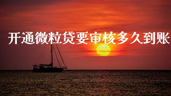 开通微粒贷要审核多久到账_https://m.jnlaobingbanjia.com_区块链_第1张