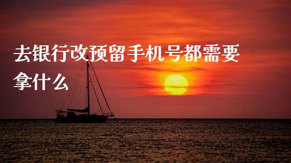 去银行改预留手机号都需要拿什么_https://m.jnlaobingbanjia.com_金融监管_第1张