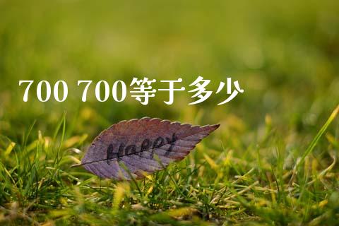 700 700等于多少_https://m.jnlaobingbanjia.com_基金市场_第1张