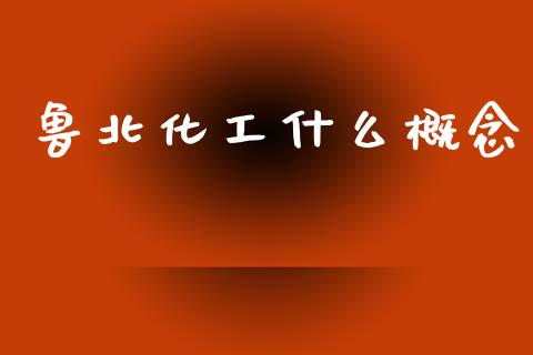 鲁北化工什么概念_https://m.jnlaobingbanjia.com_股市新闻_第1张