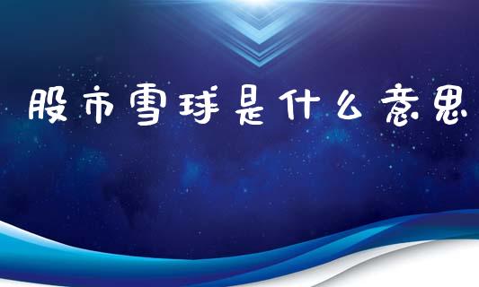 股市雪球是什么意思_https://m.jnlaobingbanjia.com_基金市场_第1张