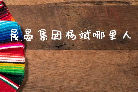 晟晏集团杨斌哪里人_https://m.jnlaobingbanjia.com_金融监管_第1张