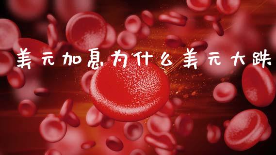 美元加息为什么美元大跌_https://m.jnlaobingbanjia.com_股市新闻_第1张