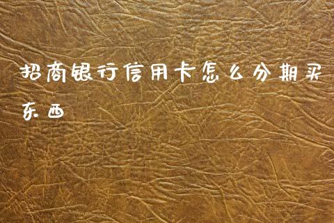 招商银行信用卡怎么分期买东西_https://m.jnlaobingbanjia.com_金融监管_第1张