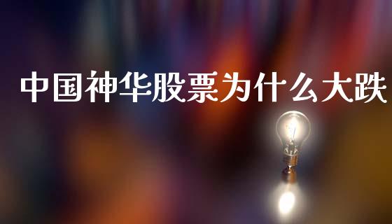 中国神华股票为什么大跌_https://m.jnlaobingbanjia.com_全球市场_第1张