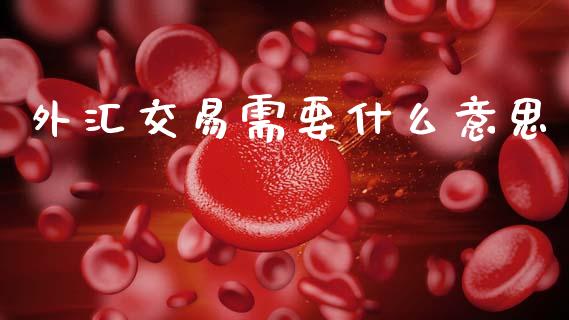 外汇交易需要什么意思_https://m.jnlaobingbanjia.com_金融监管_第1张