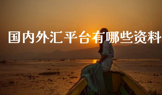 国内外汇平台有哪些资料_https://m.jnlaobingbanjia.com_股市新闻_第1张