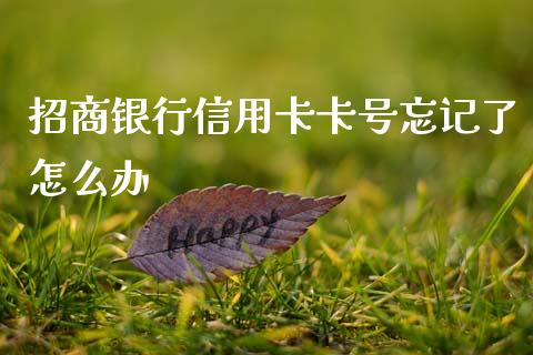 招商银行信用卡卡号忘记了怎么办_https://m.jnlaobingbanjia.com_基金市场_第1张