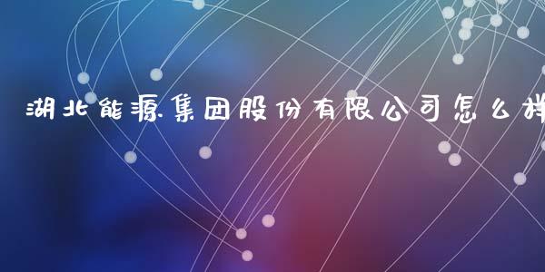 湖北能源集团股份有限公司怎么样_https://m.jnlaobingbanjia.com_金融监管_第1张