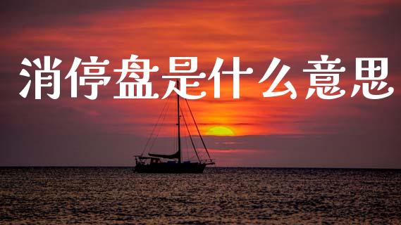 消停盘是什么意思_https://m.jnlaobingbanjia.com_金融监管_第1张