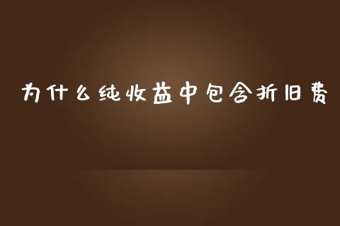为什么纯收益中包含折旧费_https://m.jnlaobingbanjia.com_股市新闻_第1张