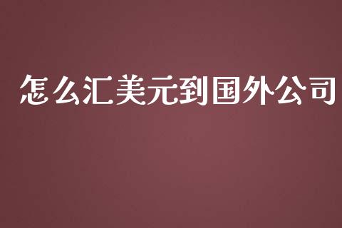怎么汇美元到国外公司_https://m.jnlaobingbanjia.com_理财规划_第1张