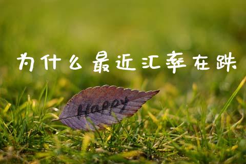 为什么最近汇率在跌_https://m.jnlaobingbanjia.com_全球市场_第1张