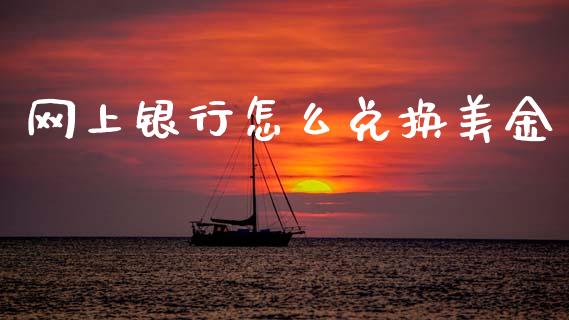 网上银行怎么兑换美金_https://m.jnlaobingbanjia.com_金融监管_第1张