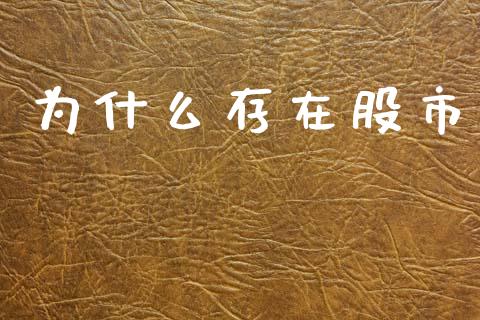 为什么存在股市_https://m.jnlaobingbanjia.com_全球市场_第1张