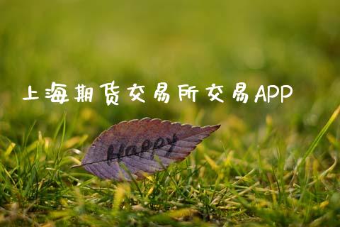 上海期货交易所交易APP_https://m.jnlaobingbanjia.com_金融监管_第1张