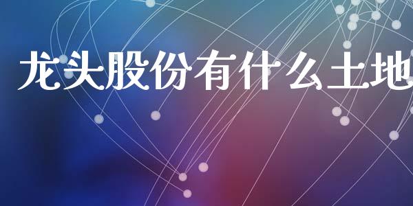 龙头股份有什么土地_https://m.jnlaobingbanjia.com_基金市场_第1张
