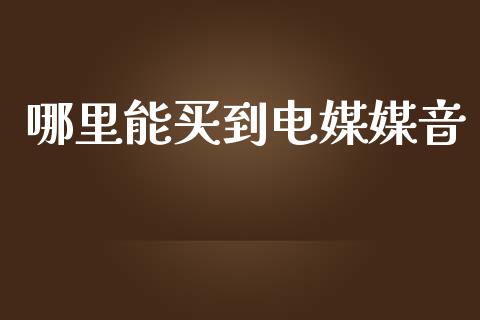 哪里能买到电媒媒音_https://m.jnlaobingbanjia.com_金融监管_第1张