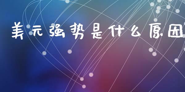 美元强势是什么原因_https://m.jnlaobingbanjia.com_区块链_第1张