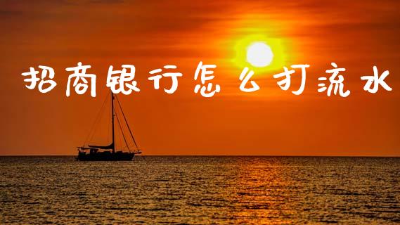 招商银行怎么打流水_https://m.jnlaobingbanjia.com_区块链_第1张