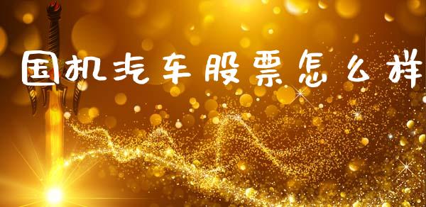 国机汽车股票怎么样_https://m.jnlaobingbanjia.com_金融监管_第1张