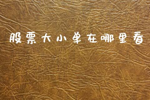 股票大小单在哪里看_https://m.jnlaobingbanjia.com_全球市场_第1张