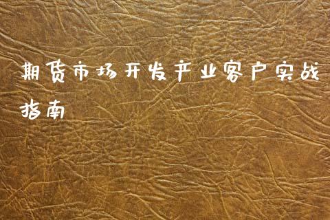 期货市场开发产业客户实战指南_https://m.jnlaobingbanjia.com_金融监管_第1张