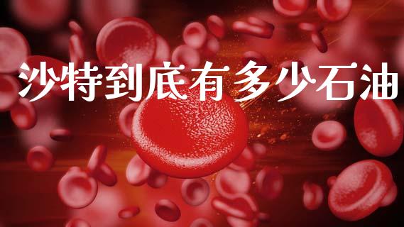 沙特到底有多少石油_https://m.jnlaobingbanjia.com_股市新闻_第1张