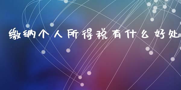 缴纳个人所得税有什么好处_https://m.jnlaobingbanjia.com_区块链_第1张