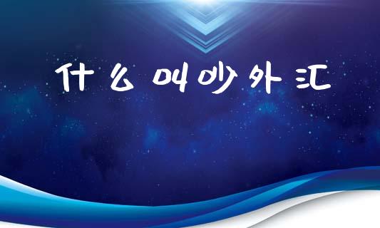 什么叫吵外汇_https://m.jnlaobingbanjia.com_理财规划_第1张