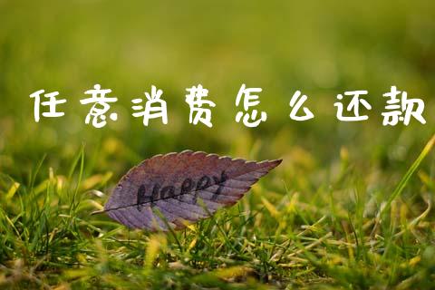 任意消费怎么还款_https://m.jnlaobingbanjia.com_金融监管_第1张