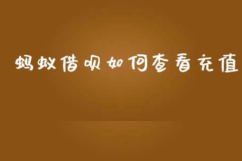 蚂蚁借呗如何查看充值_https://m.jnlaobingbanjia.com_基金市场_第1张