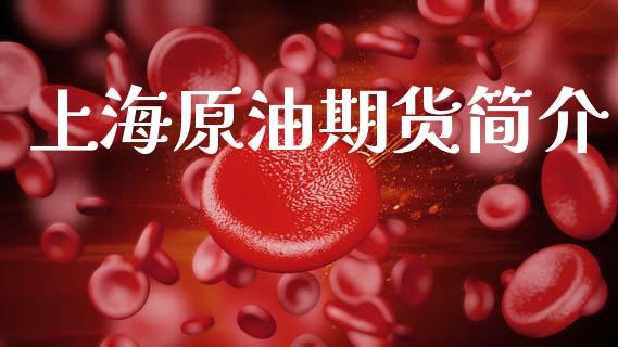 上海原油期货简介_https://m.jnlaobingbanjia.com_区块链_第1张