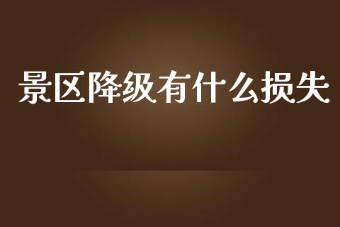 景区降级有什么损失_https://m.jnlaobingbanjia.com_理财规划_第1张