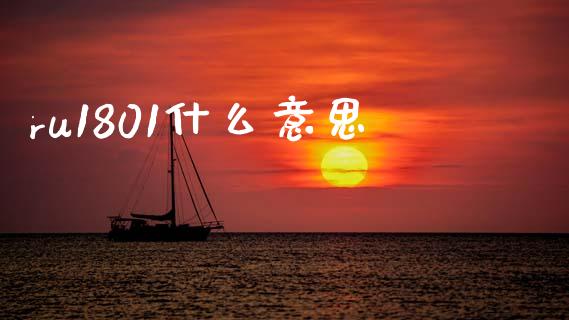 ru1801什么意思_https://m.jnlaobingbanjia.com_全球市场_第1张