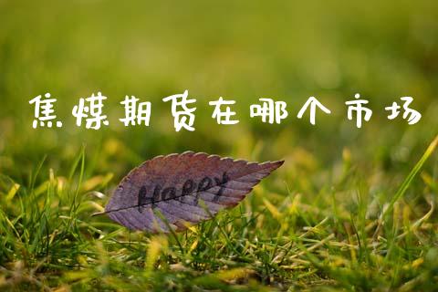 焦煤期货在哪个市场_https://m.jnlaobingbanjia.com_全球市场_第1张