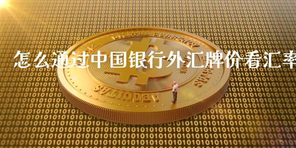 怎么通过中国银行外汇牌价看汇率_https://m.jnlaobingbanjia.com_股市新闻_第1张