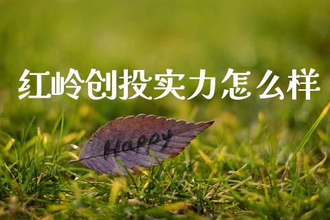 红岭创投实力怎么样_https://m.jnlaobingbanjia.com_基金市场_第1张