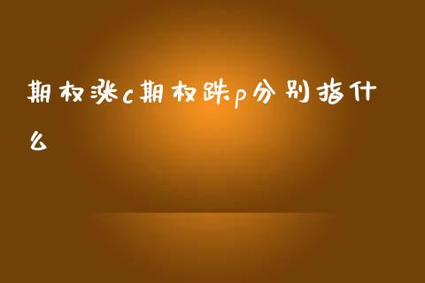期权涨c期权跌p分别指什么_https://m.jnlaobingbanjia.com_股市新闻_第1张