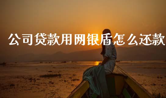 公司贷款用网银盾怎么还款_https://m.jnlaobingbanjia.com_区块链_第1张