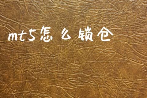mt5怎么锁仓_https://m.jnlaobingbanjia.com_基金市场_第1张