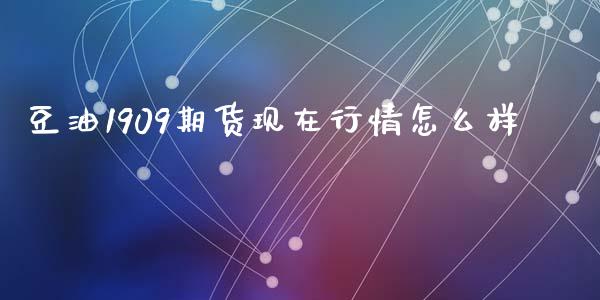 豆油1909期货现在行情怎么样_https://m.jnlaobingbanjia.com_全球市场_第1张