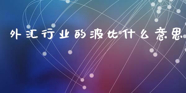 外汇行业的波比什么意思_https://m.jnlaobingbanjia.com_理财规划_第1张