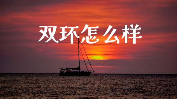 双环怎么样_https://m.jnlaobingbanjia.com_股市新闻_第1张