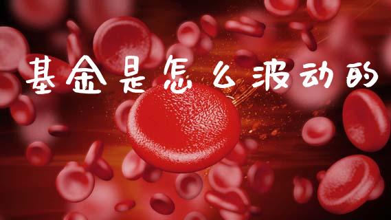 基金是怎么波动的_https://m.jnlaobingbanjia.com_全球市场_第1张